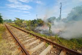 Tren blocat pe şine! Traversele de cale ferată au luat foc de la un incendiu de vegetaţie uscată din Timişoara