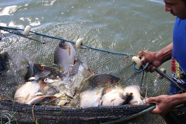 Pescarii din Delta Dunării cer modificarea regulilor de stabilire a prohibiţiei