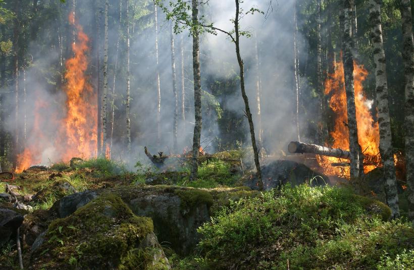 Incendiu de pădure în apropiere de cetatea dacică Sarmizegetusa Regia