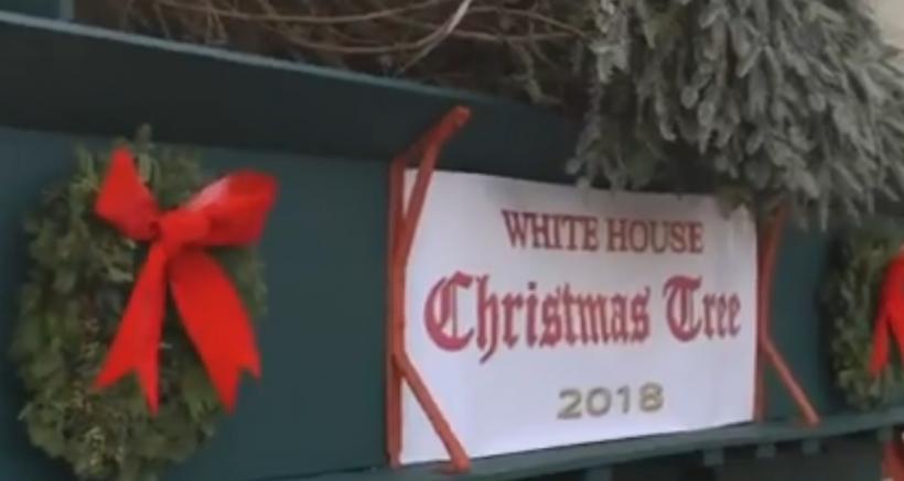 VIDEO Bradul de Crăciun a sosit la Casa Albă