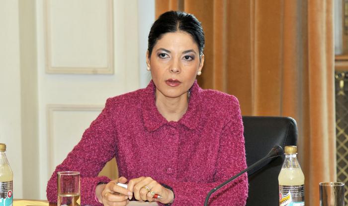 Vicepremierul Ana Birchall a reprezentat România la ceremonia de învestire în funcţie a noului preşedinte al Mexicului