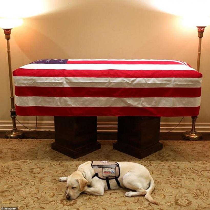 Câinele lui George Bush îşi va însoţi  stăpânul pe ultimul drum