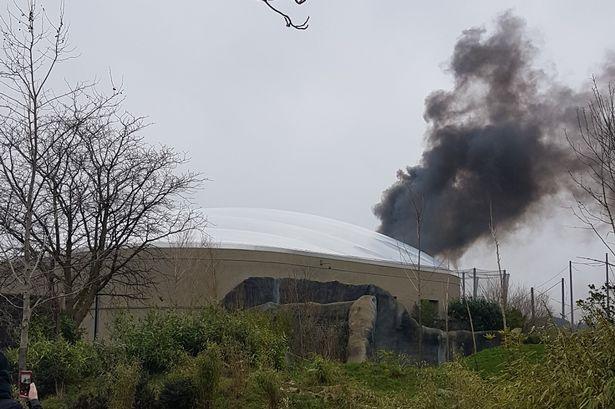 Incendiu la o grădină zoologică din Marea Britanie 