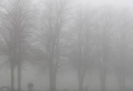 Avertizări de ceaţă, intensificări ale vântului şi chiciură în judeţe din Dobrogea şi Transivania, în orele următoare