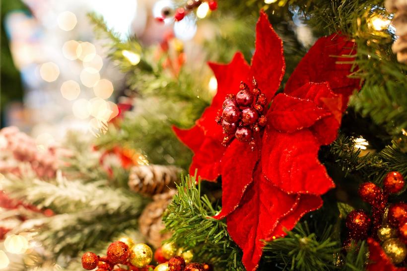 Tradiții în Ajunul Crăciunului la români
