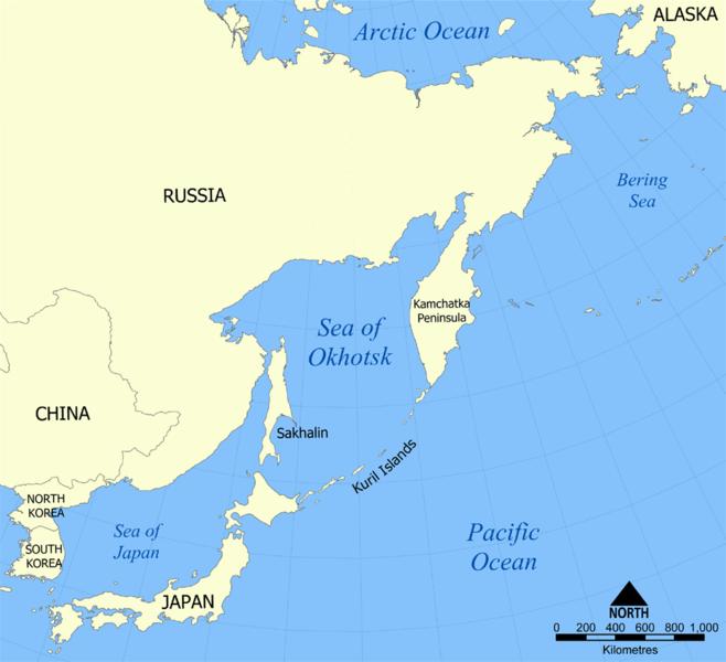 Șeful diplomației japoneze este așteptat luni la Moscova, după tensiuni în problema insulelor Kurile