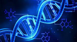 Analiza ADN poate identifica speranța de viață a unei persoane