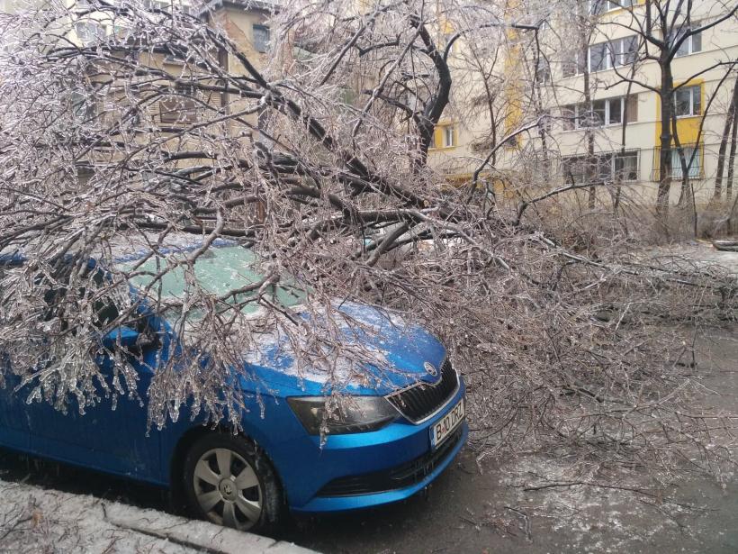  ISU Bucureşti-Ilfov: Au fost gestionate peste 1.810 cazuri generate de condiţiile meteo nefavorabile