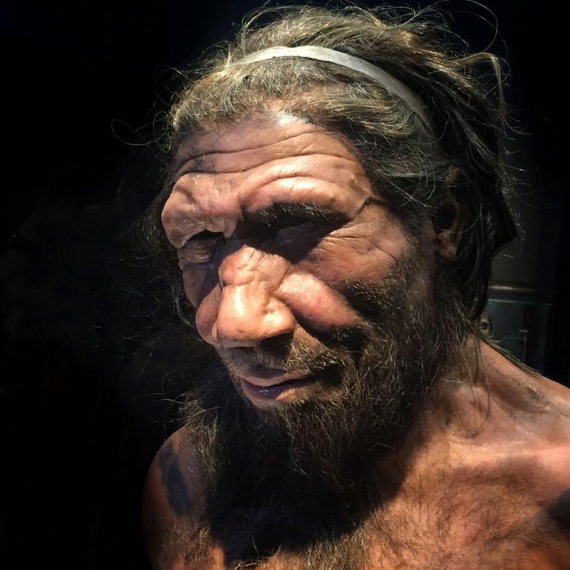 Neandertalienii aveau sulițe cu care puteau vâna la 20 de metri distanță