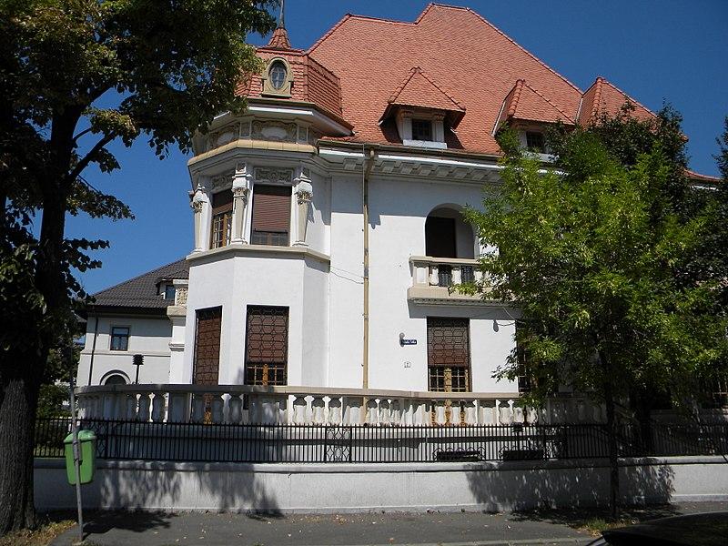 USR-istul Caramitru jr. a plătit 3 milioane de euro pentru o vilă monument istoric din zona Dorobanţi
