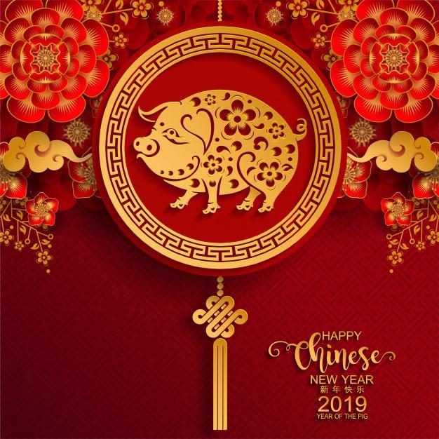Anul Nou chinezesc, cel al Mistreţului de Pământ, sărbătorit în toată lumea 