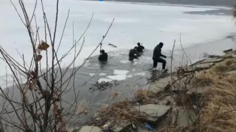 Arme descoperite de poliţişti în lacul Pantelimon