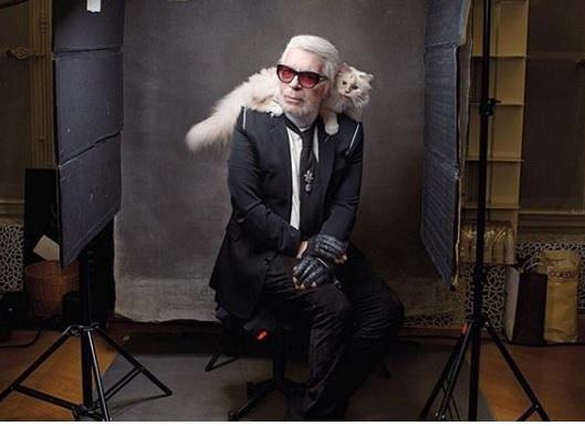 Karl Lagerfeld îşi desemnase deja moştenitorul pentru fabuloasa lui avere. La cine vor ajunge cele 250 de milioane de euro