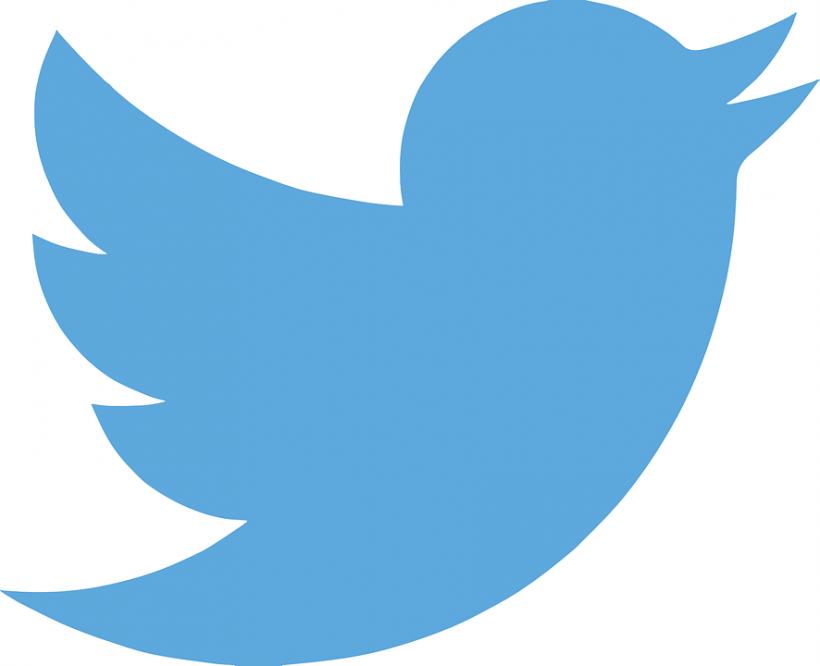 Twitter lansează mijloace de identificare a reclamelor electorale