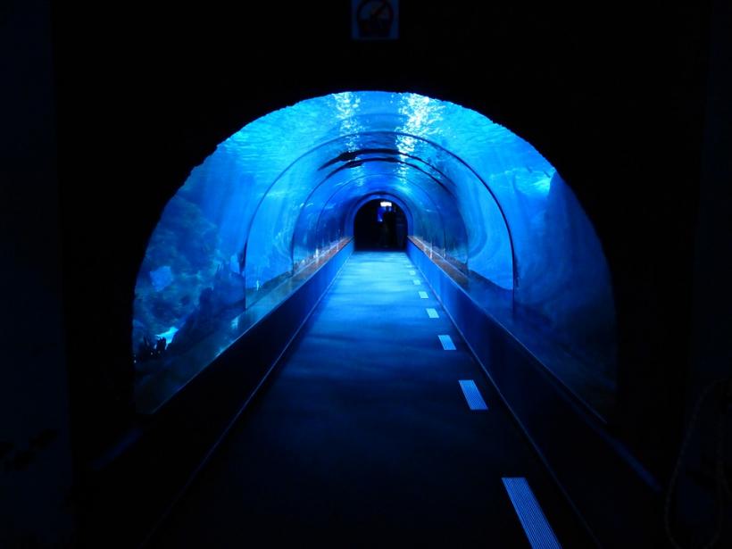 Posibilă investiție de 15 miliarde de euro în tunelul submarin dintre Tallinn și Helsinki
