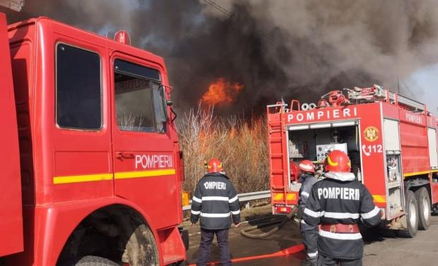 Incendiu devastator în apropiere de autostrada București-Pitești.Traficul a fost închis din cauza vizibilității reduse