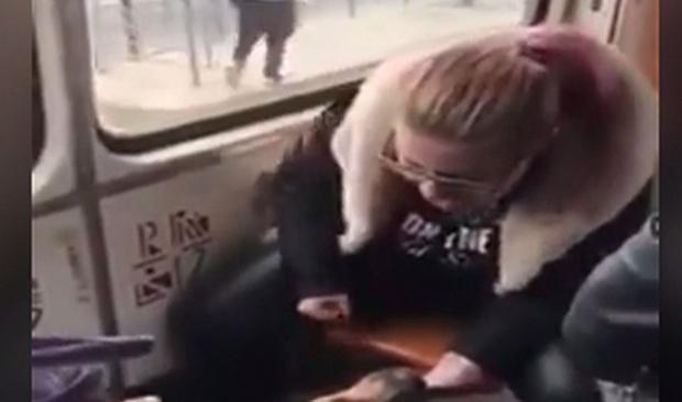 Câine bătut crunt într-un tramvai din Capitală. Stăpâna și-a vărsat nervii pe bietul animal pentru că se certase cu iubitul ei