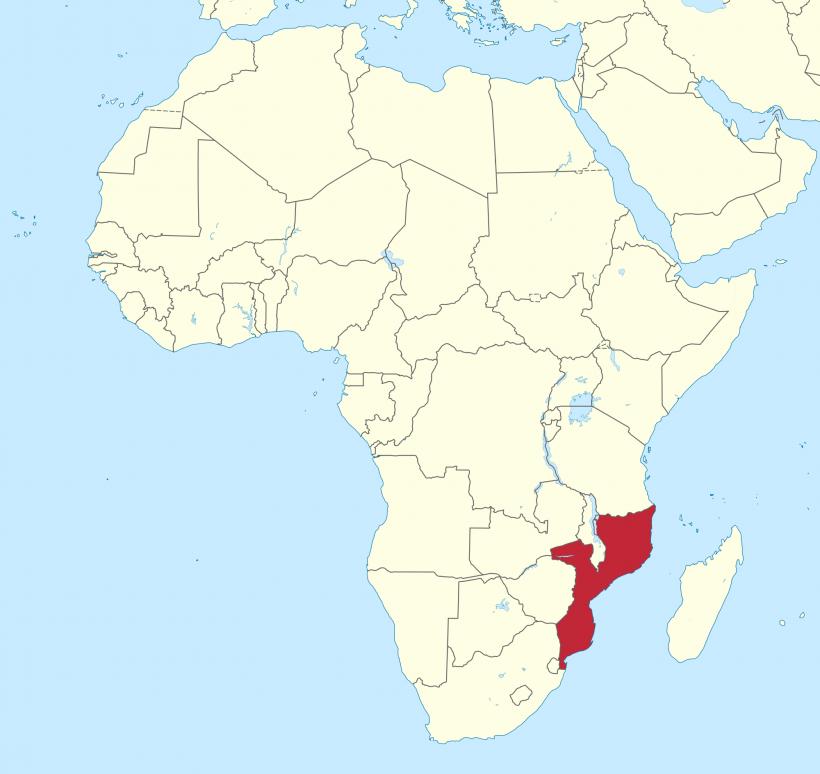 Autoritățile din Mozambic confirmă 138 de cazuri de holeră