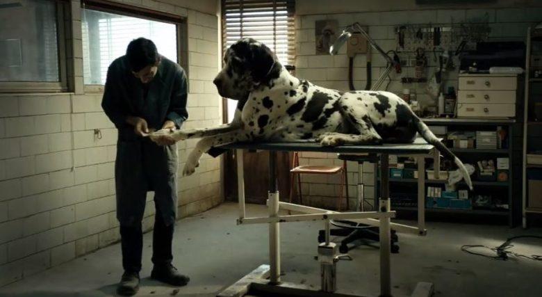 „Dogman” de Matteo Garrone, cel mai bun film la Premiile David di Donatello 2019
