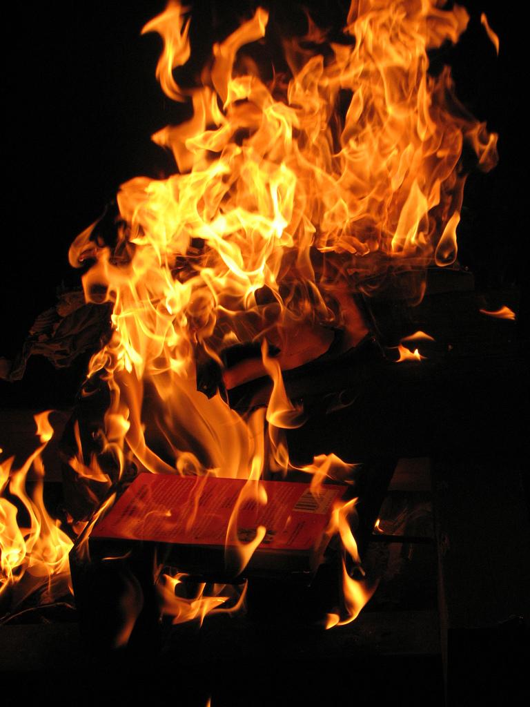 Preotul responabil pentru arderea publică a unor volume din &quot;Harry Potter&quot; şi-a cerut scuze