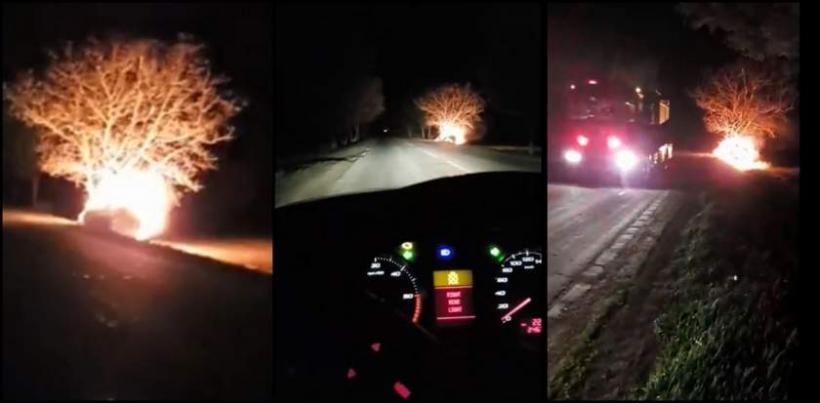 Tragedie în Vinerea Patimilor. Un şofer a ars de viu, după ce s-a izbit cu mașina de copac
