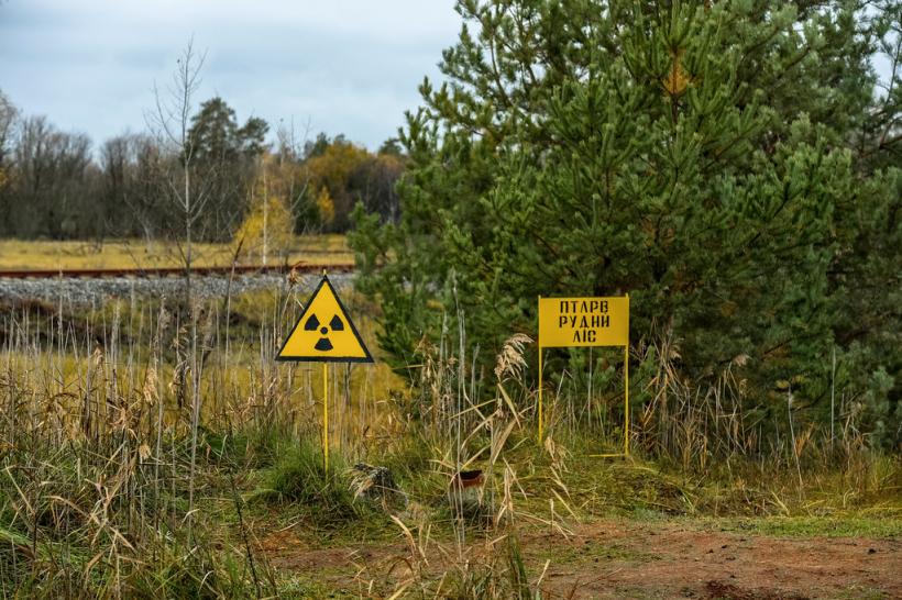 Dronele au descoperit o zonă cu un nivel periculos de radiații în Pădurea Roșie de lângă Cernobîl