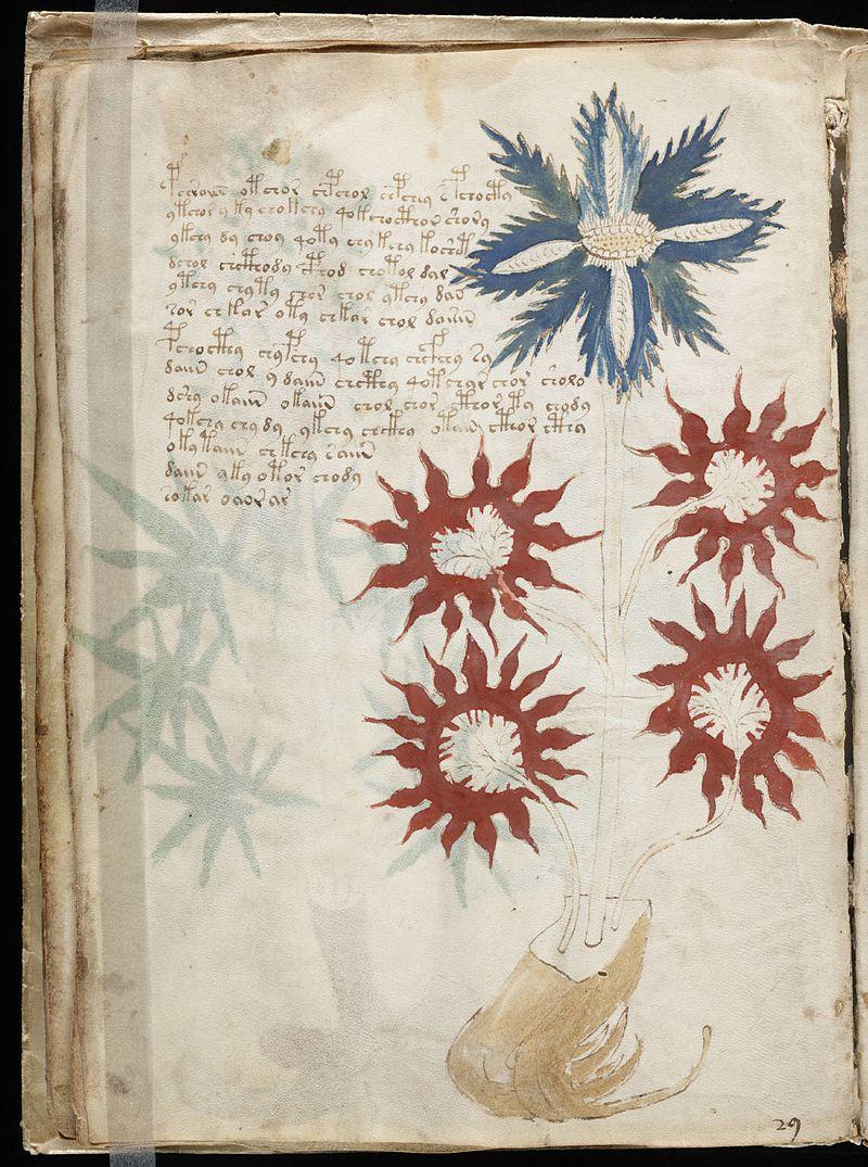 Unul dintre cele mai misterioase coduri, Manuscrisul  ''Voynich'', a fost spart. Textul, scris într-o limbă dispărută din care a evoluat româna