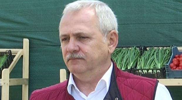 Liviu Dragnea: Am elaborat &quot;Cartea verde a românilor de pretutindeni&quot; 