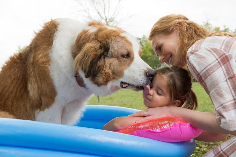 „Câinele, adevaratul meu prieten 2” aşteaptă iubitorii de animale în cinematografe din 21 iunie