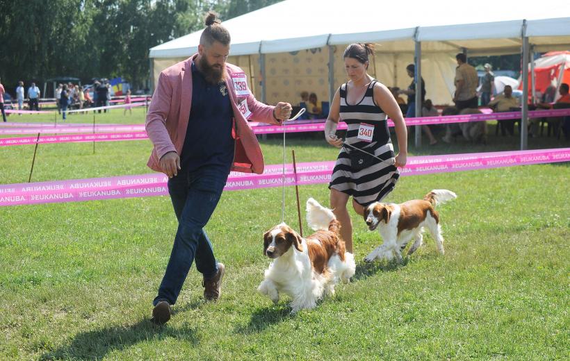 GALERIE FOTO. Cei mai frumoși câini la București 18667246