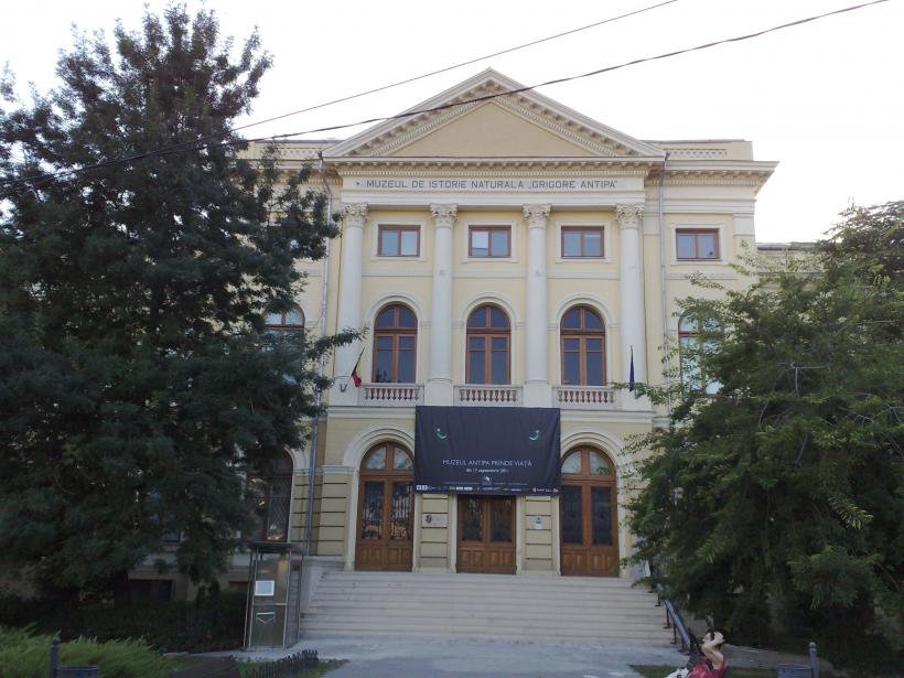 Academia Română, reacţie la propunerea ridicării Muzeului Holocaustului în curtea Muzeului Antipa