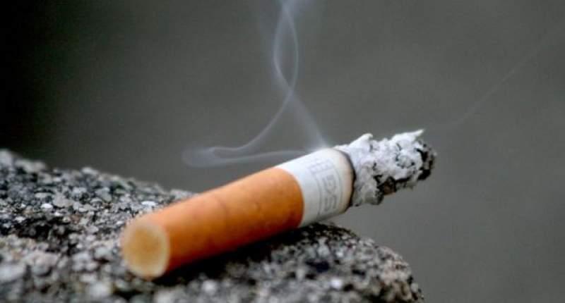 Studiu: Mucurile de ţigară aruncate în mediul înconjurător afectează dezvoltarea plantelor 