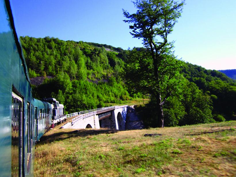 Caii dacilor umblă liberi la Anina 18671587