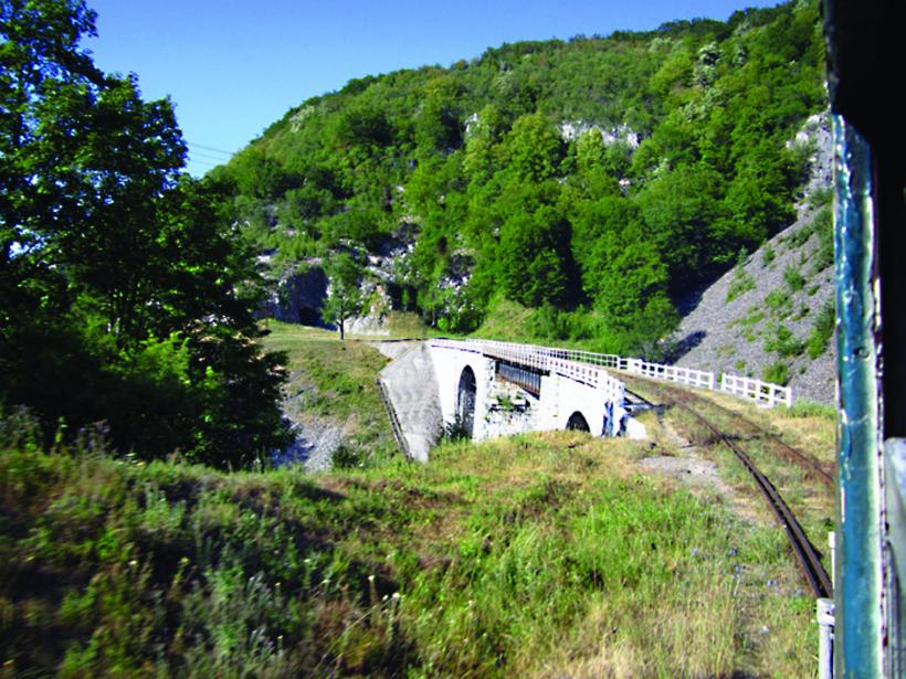 Caii dacilor umblă liberi la Anina 18671588