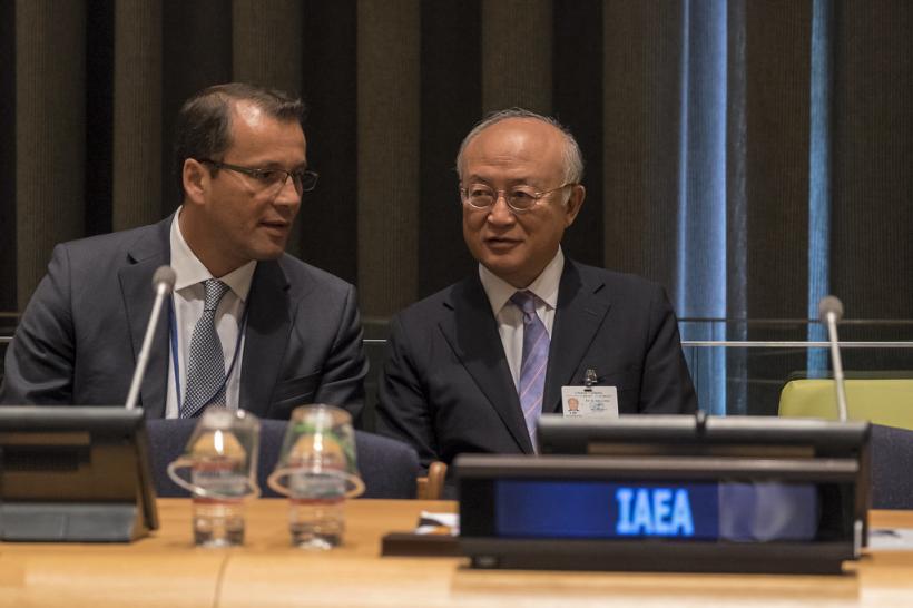 Consiliul guvernatorilor AIEA discută joi numirea unui nou director