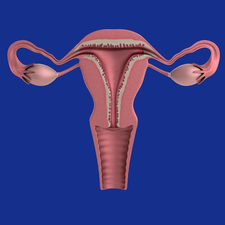 Chistul ovarian – tot ce trebuie să știi