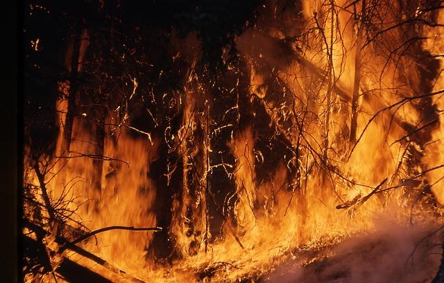 Grecia: Cod roşu de risc de incendii de pădure
