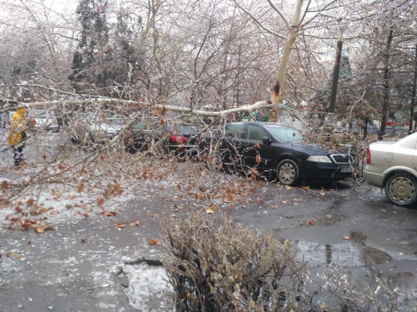 Vremea a făcut ravagii în Braşov: Peste 10 copaci au fost doborâţi de furtună