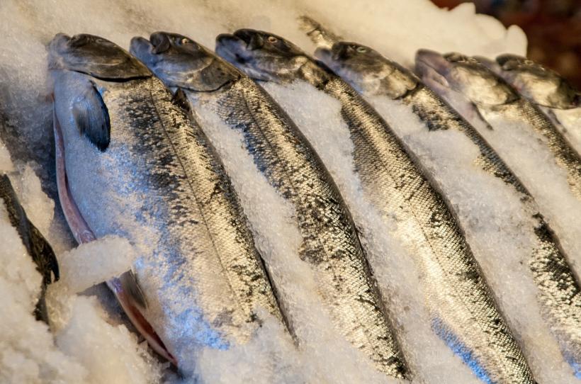 22 de tone de peşte şi produse din peşte necoforme retrase de la comercializare