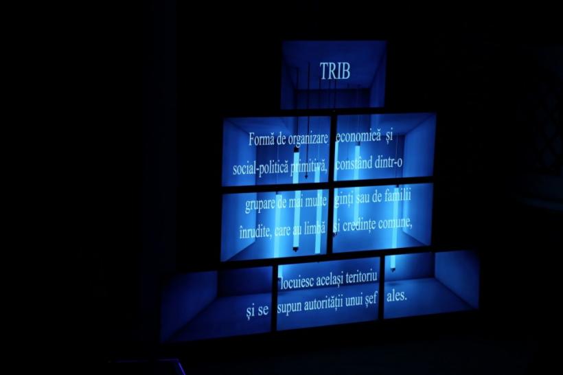 Spectacolul Triburi, în regia lui Vlad Cristache, la Festivalul Zile și Nopți de Teatru la Brăila