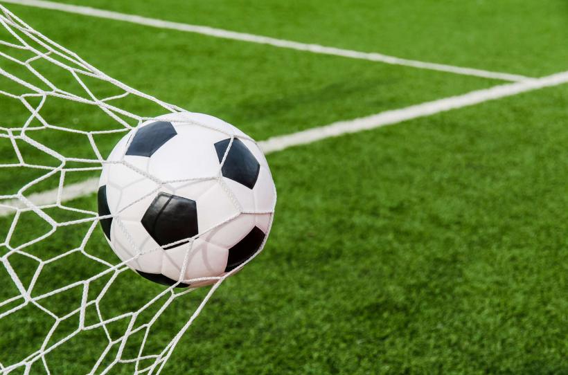 Fotbal: FC Botoşani, amendată de Comisia de Disciplină a FRF cu 30.000 de lei