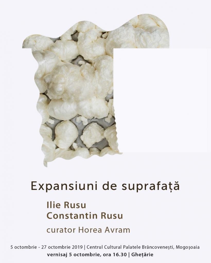 Expoziția “Expansiuni de suprafață” la Centrul Cultural ”Palatele Brâncovenești de la Porțile Bucureștiului”