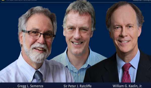 Nobelul pentru Medicină, împărţit de 3 cercetători