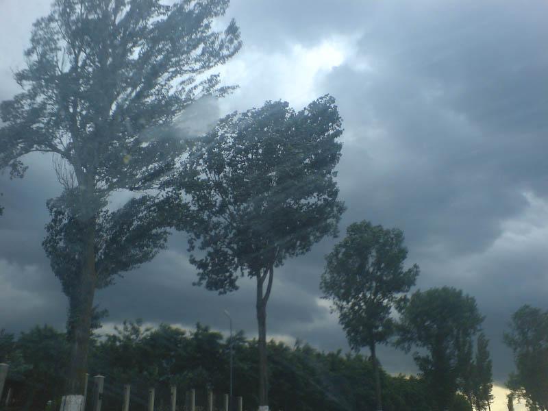 Cod galben de vânt puternic, cu rafale de peste 90 de km/h, în Suceava și Neamț