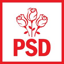 Senatorul Doina Federovici (PSD): Ura partidelor de opoziţie faţă de PSD nu poate ţine loc de bună guvernare