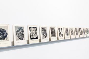 Artiști români, în cadrul expoziției „Imagined pasts” la Budapest Galéria