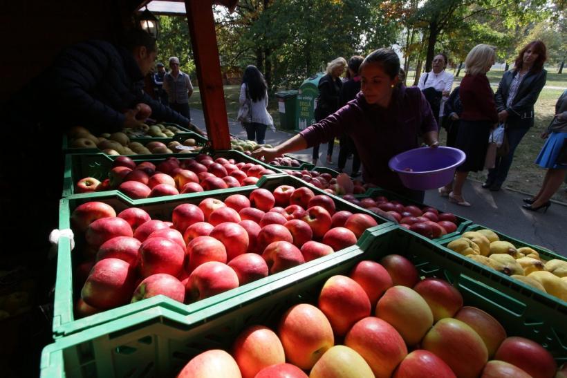 Mărul românesc, zdrobit de subvenţiile poloneze