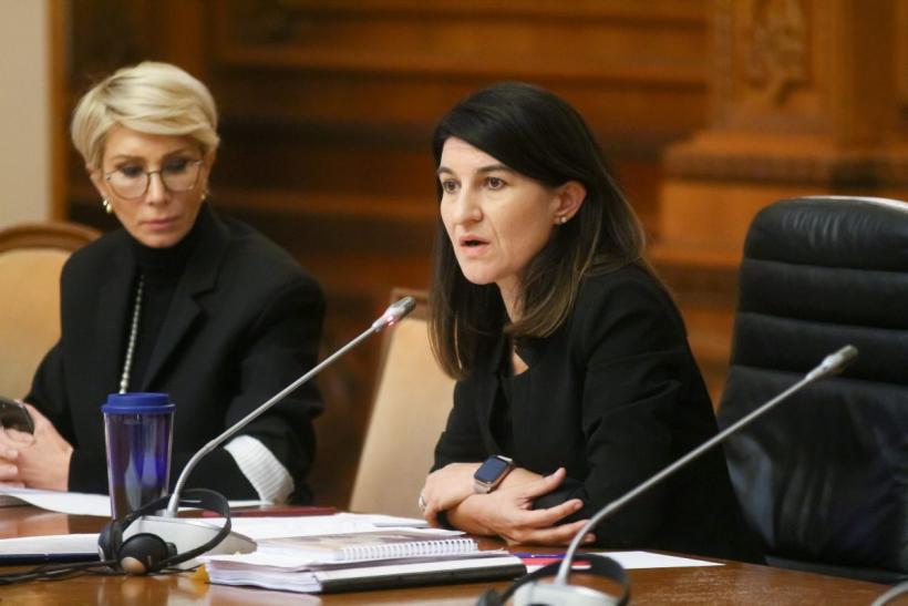 Ministrul respins al Muncii, Violeta Alexandru, în Guvernul Cioloș cu tot cu partenerul ei de afaceri
