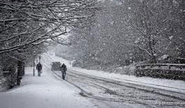 Director ANM, despre când vor începe ninsorile: „Așa arată o iarnă normală în România&quot;