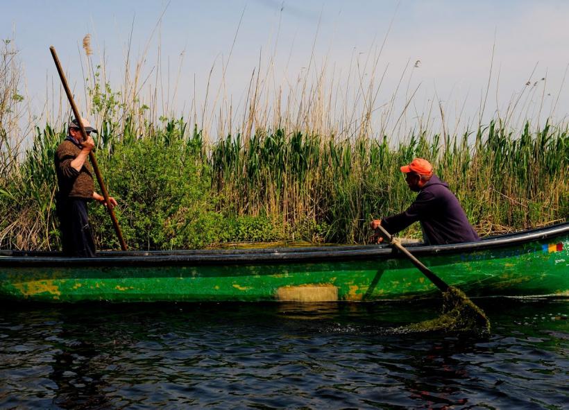 Operatori turistici, amendați că au strâns deșeuri din Delta Dunării